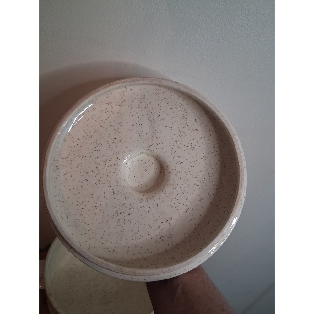 Speckled Stoneware Casserole Dish with Lid Floral Wheat Design Cream - Picture 6 of 8